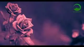 Чеченский красивый хьехам