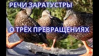 №2. РЕЧИ ЗАРАТУСТРЫ. О Трёх Превращениях. Ф. Ницше. Так говорил Заратустра