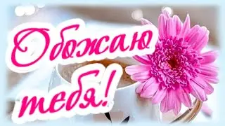 Без тебя я не могу ни дня... обожаю!