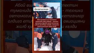 Инсоният битта кемада