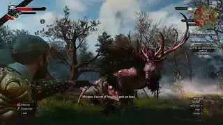 The Witcher 3: Fiend Boss Fight