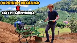 BURRINHO MECÂNICO FACILITA MUITO O TRABALHO NA ROÇA