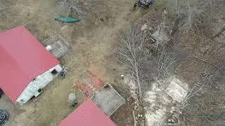 Hot Shot Tree Removal - 5 Clustered Maples overhanging my house.
