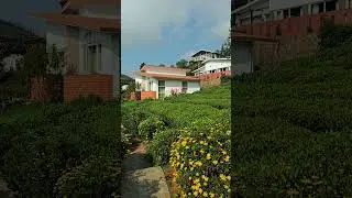 Luxury in the Hills: Discover Plunters Punch Resort in Ooty Full tour 🌴🌿 ⛰️ , Best villa in ooty