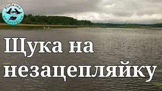 Щука на незацепляйку.