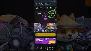 PIXEL TAP BY PIXELVERSE DAILY COMBO CARDS 29 July 2024