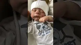 #реборн