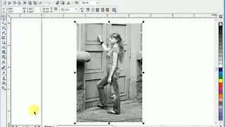 Convert Color Picture to Black in Coreldraw | Color conversion | Color to black | change image color