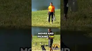 Teach Your Dog Steadiness With This Drill