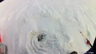 Удочку занесло за пол часа. Самолов подлещика.