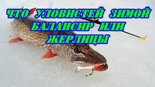 Что уловистей зимой,балансир или жерлицы.