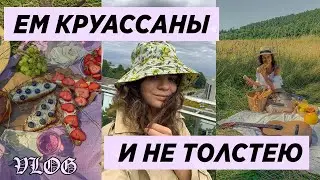 Vlog 8 | инста-пикник, the neighbourhood разочаровали, ночные тусовки