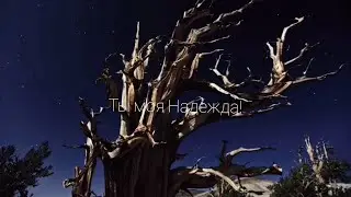 Красивый Нашид - 