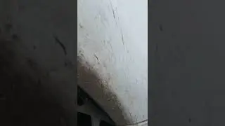 замена лампы ближнего хода.Хавал н5