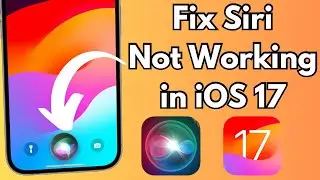 How To Fix Siri Not Working in iOS 17 on iPhone