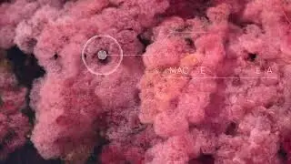 Pequeños grandes momentos - Episodio 5: 