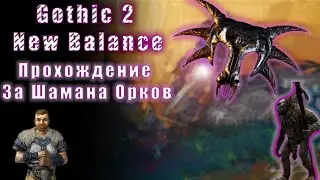 Новый Класс: Шаман Орков | Готика 2 : Новый Баланс | Дикая имба до ДР