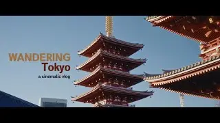Wandering Tokyo | Day 2 | Harajuku - Shibuya - Asakusa  (Sony A7C + Tamron 20-40mm