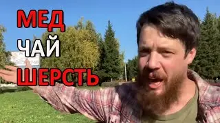 Мед! Чай! Шерсть! (Понедельник с подписчиками!)