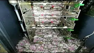 Мыши залезли в банкомат и съели все деньги
