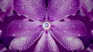 Best Hits 2020 Summer Music 2020 Morning Wake Up Peaceful Life Channel