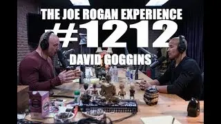 Joe Rogan Experience 