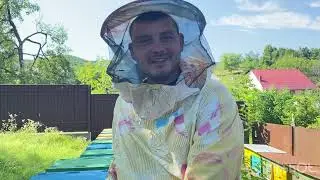 Мифы о синем мёде;))