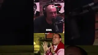 Joe Rogan Wanderlei Silva Impression