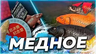 ⭐СТРИМ РР4 | (Б) Медное День 2 Цветняк покинул нас | 🎁 Призы В Рулетке!