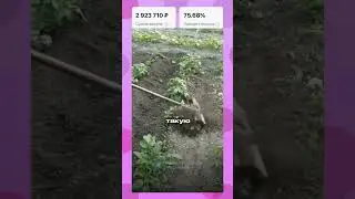 Больше НИКОГДА не надо будет полоть грядки вручную 
