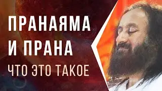 Пранаяма и прана. Что это такое