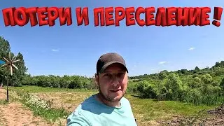 ПОТЕРИ В ХОЗЯЙСТВЕ ! ПЕРЕСЕЛЕНИЕ ! НОВЫЙ БОСС !