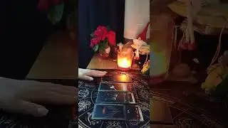 🧐😼 КАК НА ВАС РЕАГИРУЕТ НАЧАЛЬСТВО..🤔🥴