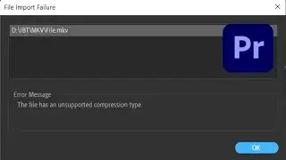 How to import mkv files into Premiere Pro 2024 (100% working)