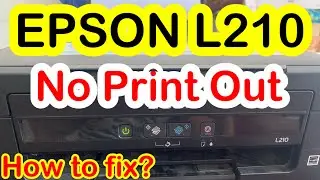 EPSON L210 | ALL COLORS NO PRINT OUT