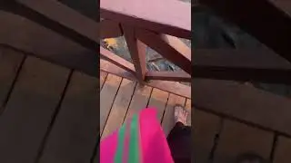 Beautiful fish