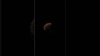 Amazing😍 Tree🌳 graphics design in python | coding | python graphic 
