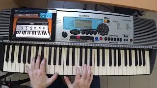 Синтезатор за 100 у.е./100 долларов / Yamaha PSR-225 GM