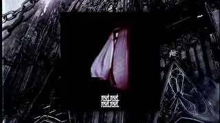 Absolute Terror- RESET