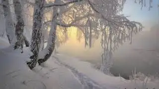 Иван-бражник