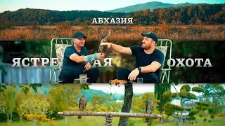 Абхазия | Ястребиная Охота