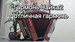 Гармонь Чайка2. Отличная гармошка.