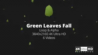 Green Leaves Fall 4K - Videohive Motion Graphic Videos