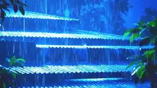 Thunderstorm on Tin Roof in Foggy Forest | ASMR Rain Sounds for Deep Sleep and Calm Mind
