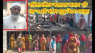 বালিয়াডাঙ্গীতে ক'য়ে'লে'র  আ'গু'নে ৭টি গরু ও ৪টি ছাগল পু'ড়ে ন্বিঃ'স্ব মুয়াজ্জিন এনামুল