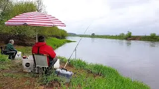 Разведка Днепра! Первые Голавли и Подусты на Кукурузу! Рыбалка с Ночевкой. Фидер в Дождь на Днепре.