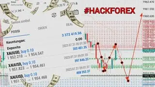 #HACKFOREX 26 - CARA SCALPING MARKET GOLD XAUUSD PALING MUDAH DAN PROFIT KONSISTEN! #forex #scalping