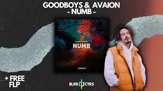 [FREE] Selected FLP | Avaion & Goodboys - Numb Remake