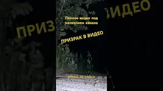 Призрак в видео!#мистика #паранормальное #призраки #ghost #paranormal #кладбище #paranormalactivity