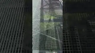 мост